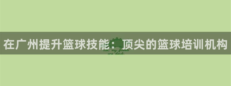 焦点娱乐官方网站首页入口下载