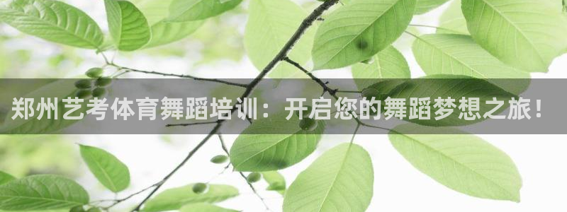 焦点娱乐官网下载安装最新版：郑州艺考体育舞蹈培训：开