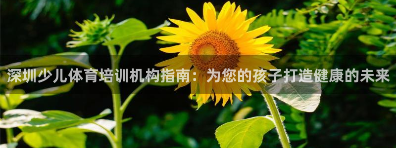 焦点娱乐拉菲11月9日