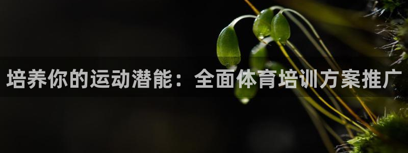 焦点娱乐传媒有限公司是干嘛的公司：培养你的运动潜能：