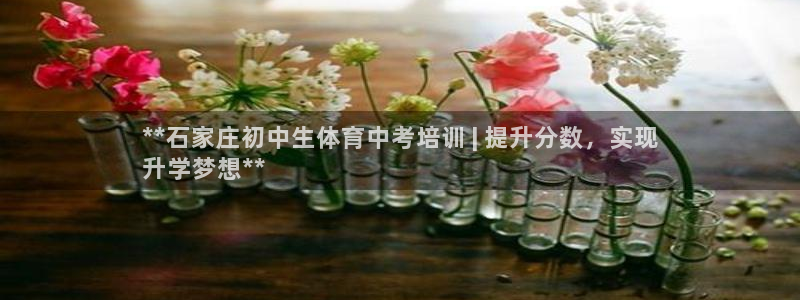 焦点娱乐陈江河